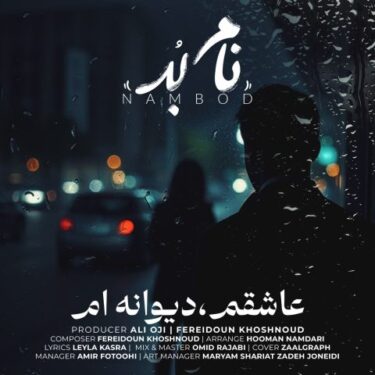 دانلود آهنگ جدید نام بد عاشقم دیوانه ‌ام